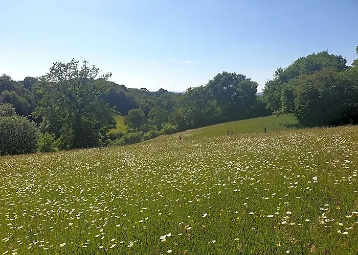 La fermette - chambres d'hôtes dans environnement calme et arboré
